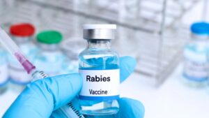Core Vaccines for your Dog (Rabies Vaccine)